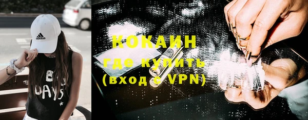 ешки Алексин