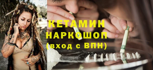 ешки Алексин