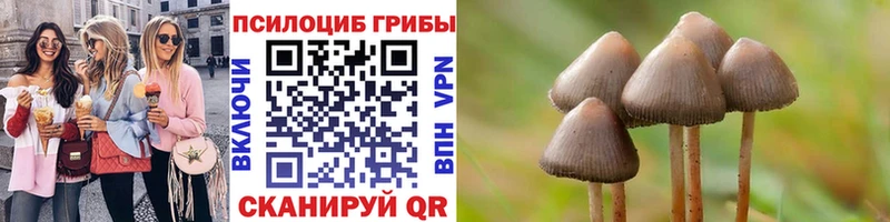 Галлюциногенные грибы ЛСД  продажа наркотиков  Алушта 