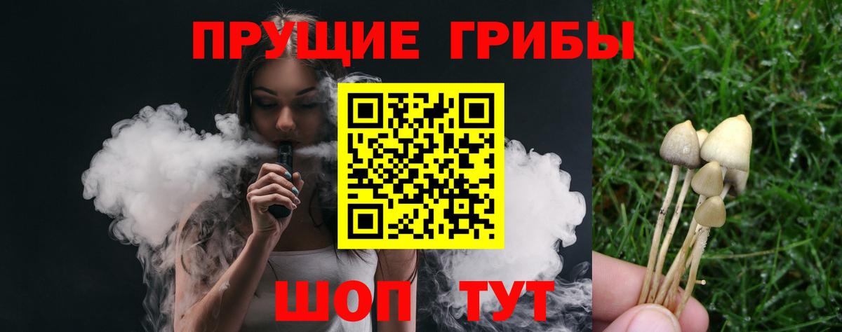 Галлюциногенные грибы Psilocybe  Вход с VPN  Алушта 