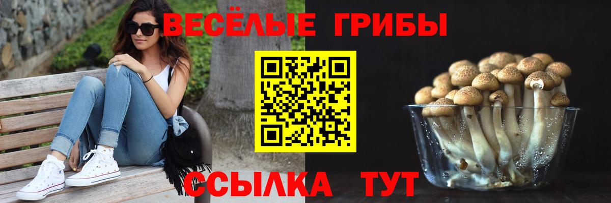 Псилоцибиновые грибы Magic Shrooms Алушта